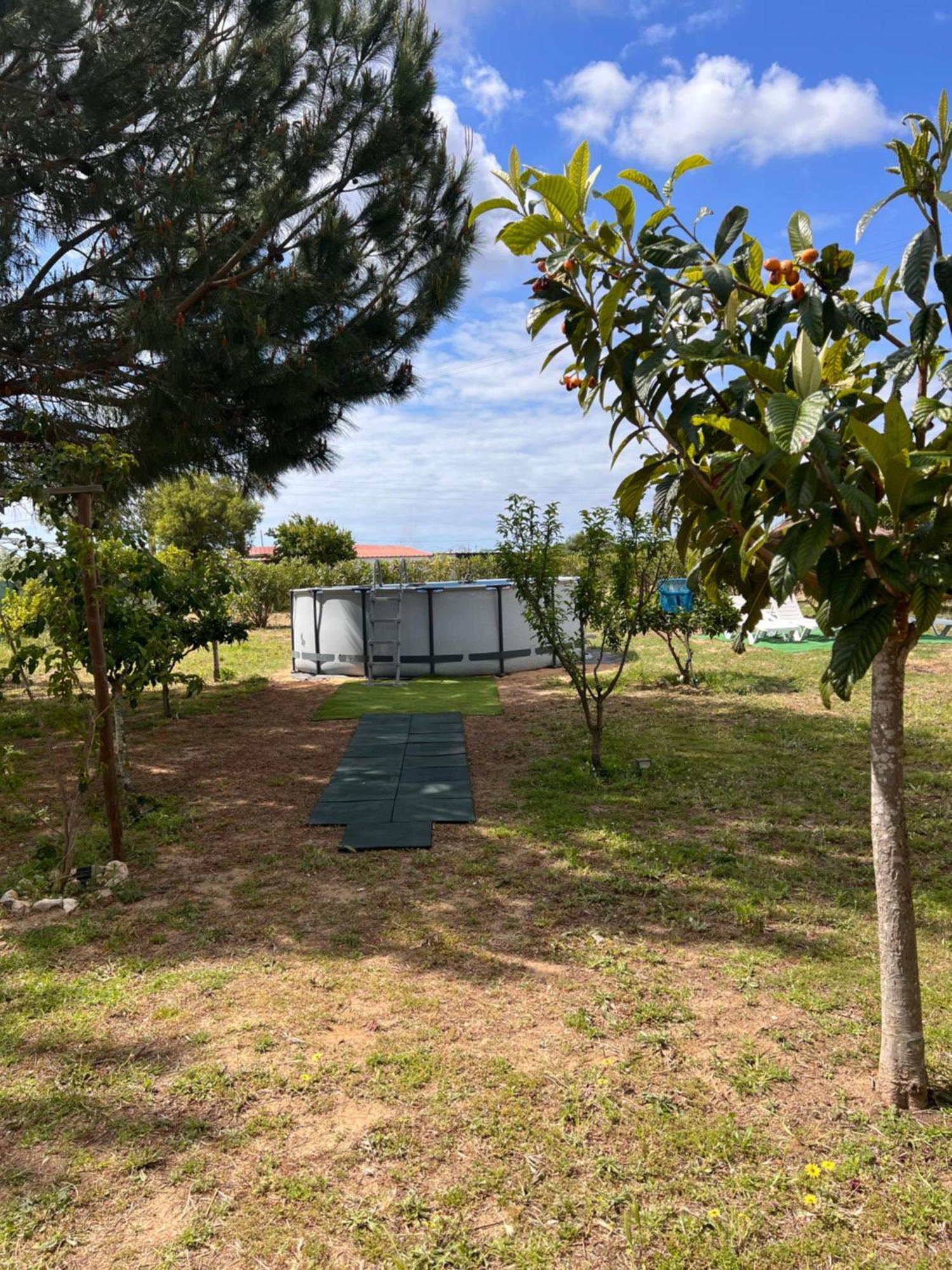 Quinta Dos Viegas Villa FAO Exteriör bild