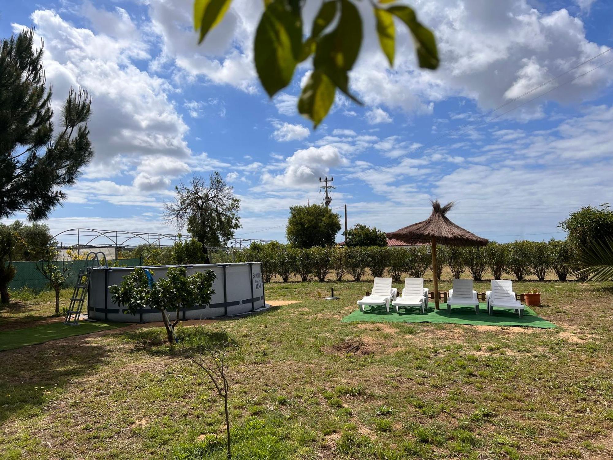 Quinta Dos Viegas Villa FAO Exteriör bild